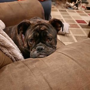 Meet your Posher, Brianne